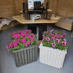 494887535_1422667698904589_6081210813315584431_n